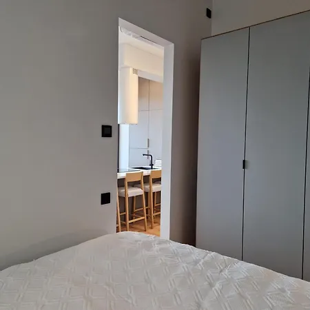 Artisa Riia Str 20a Luxury Penthouse * Tartu