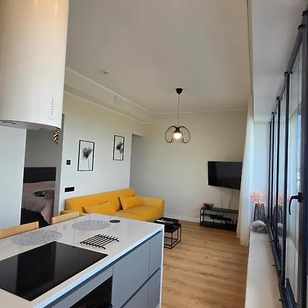 Artisa Riia Str 20a Luxury Penthouse * Tartu