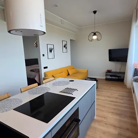Artisa Riia Str 20a Luxury Penthouse Lägenhet