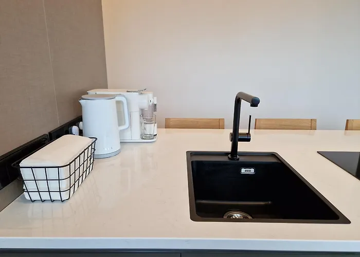 Apartment Artisa Riia Str 20a Luxury Penthouse Tartu