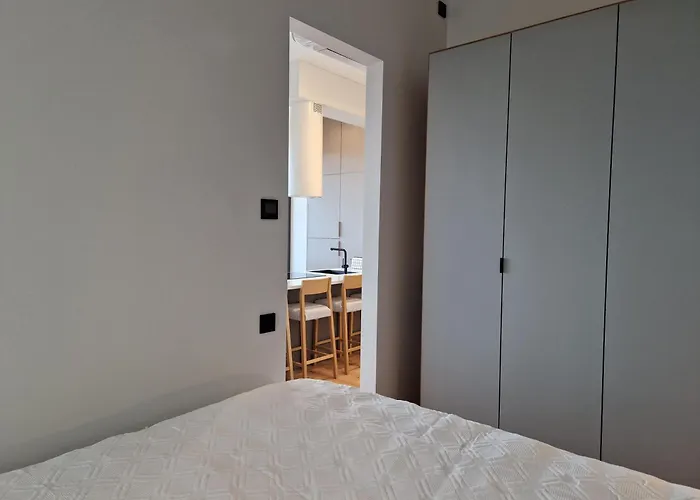 Artisa Riia Str 20a Luxury Penthouse * Tartu